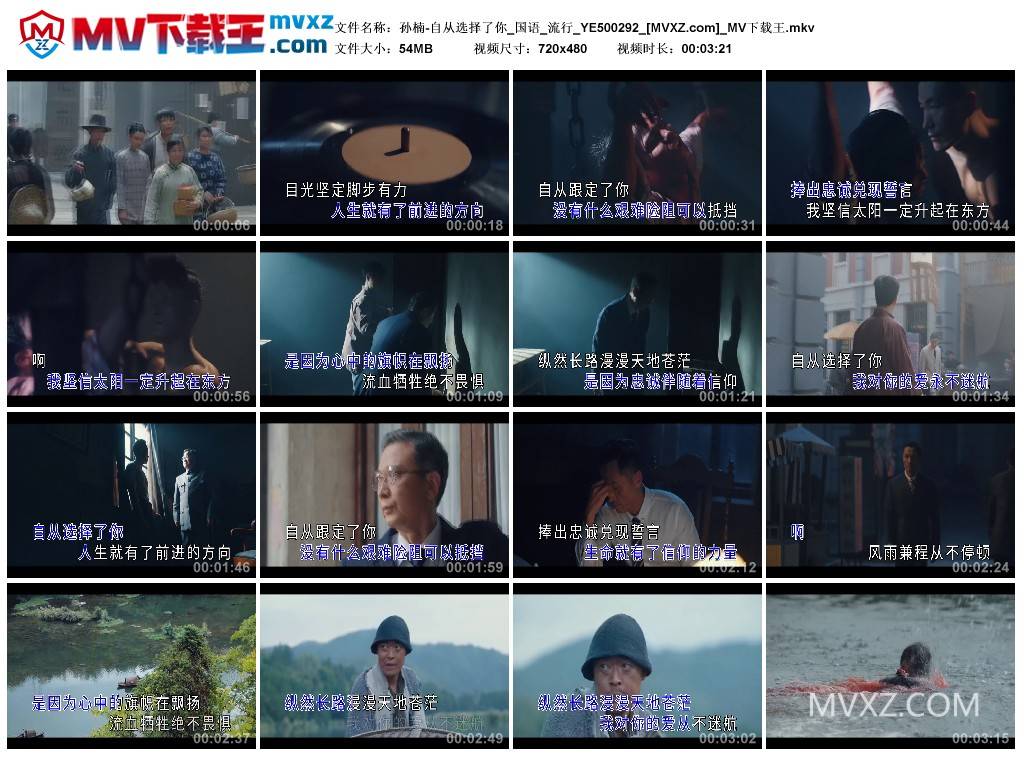孙楠-自从选择了你_国语_流行_YE500292